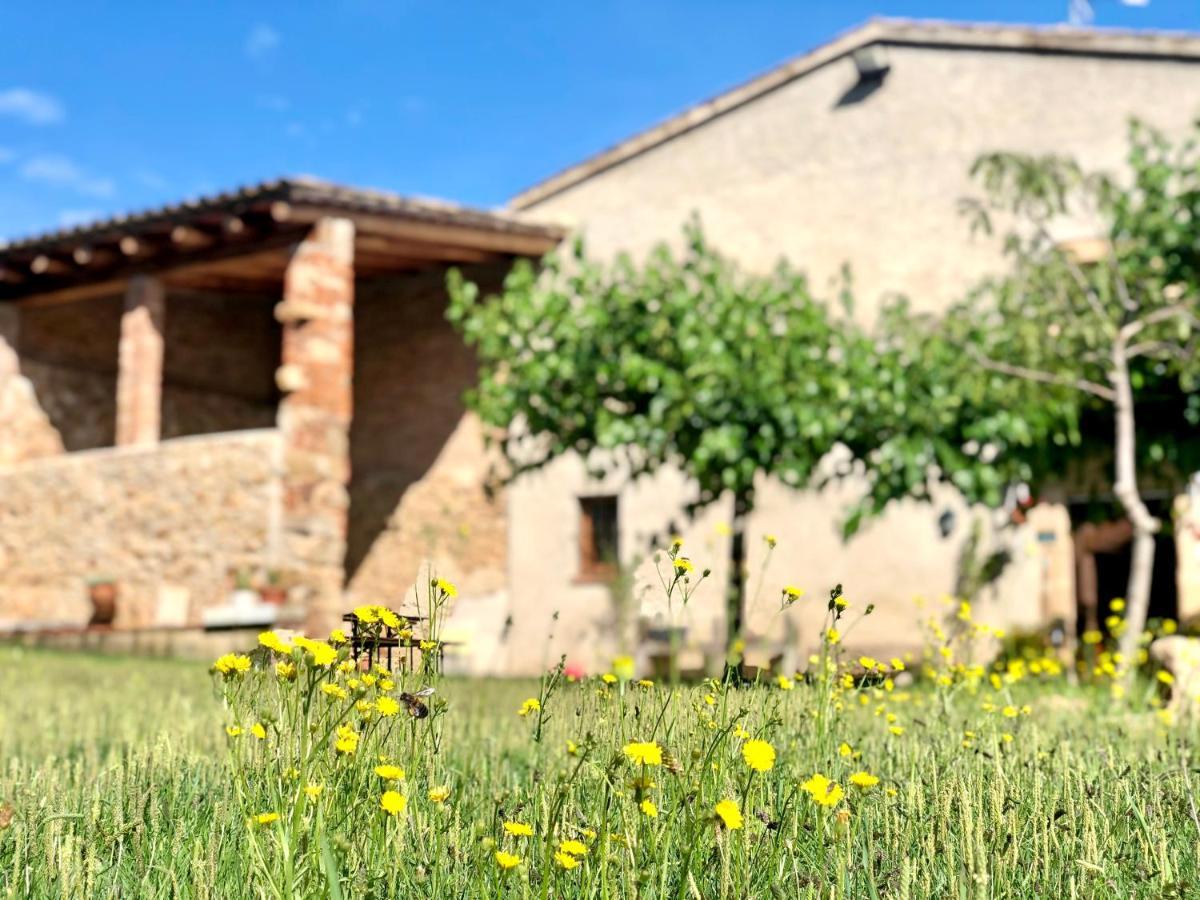 Casa Rural Can Miquel - En Pleno Bosque Y Cerca De La Playa - Increibles Rutas Btt Санта-Колома-де-Фарн Экстерьер фото
