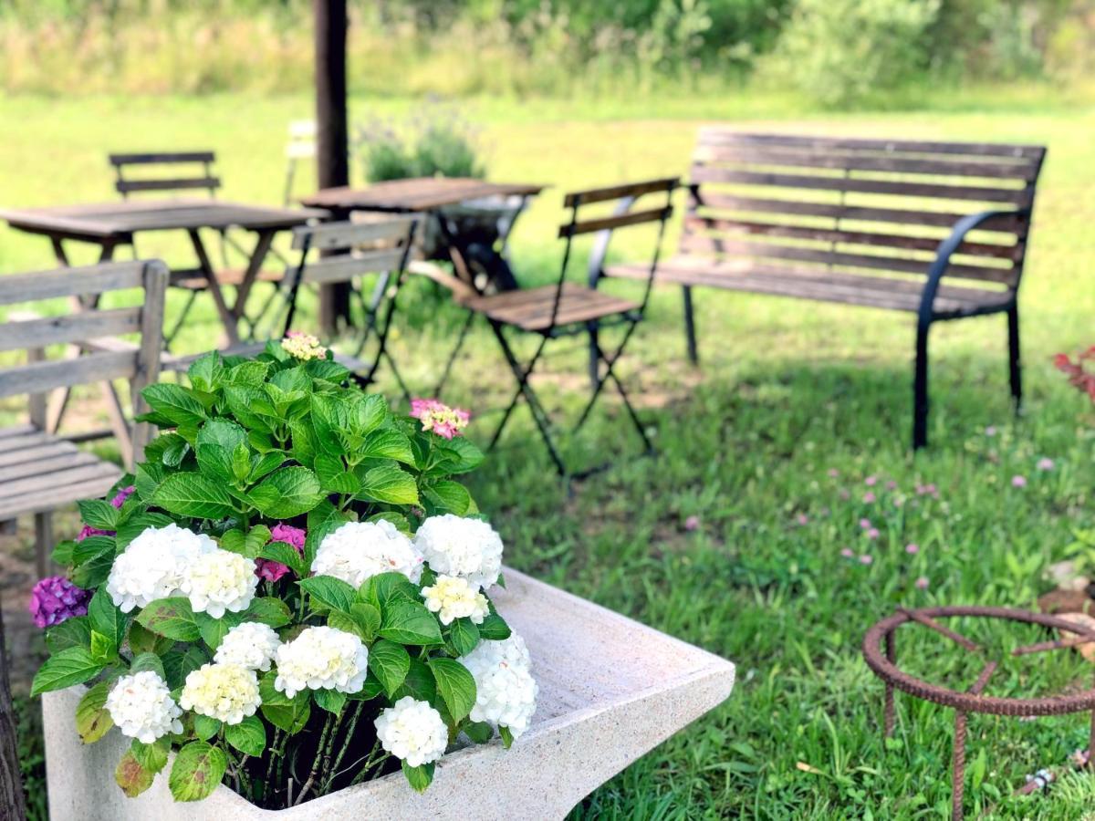 Casa Rural Can Miquel - En Pleno Bosque Y Cerca De La Playa - Increibles Rutas Btt Санта-Колома-де-Фарн Экстерьер фото