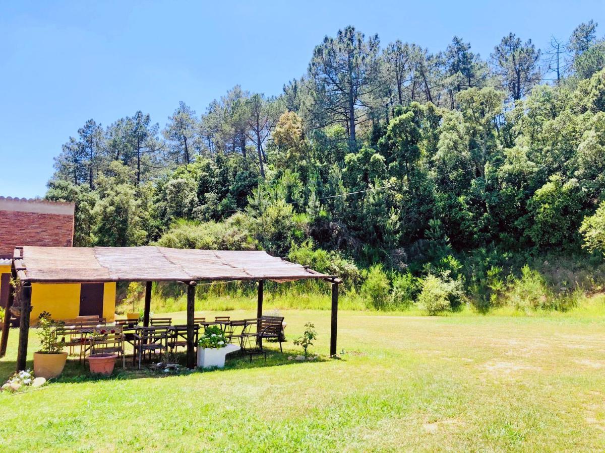 Casa Rural Can Miquel - En Pleno Bosque Y Cerca De La Playa - Increibles Rutas Btt Санта-Колома-де-Фарн Экстерьер фото