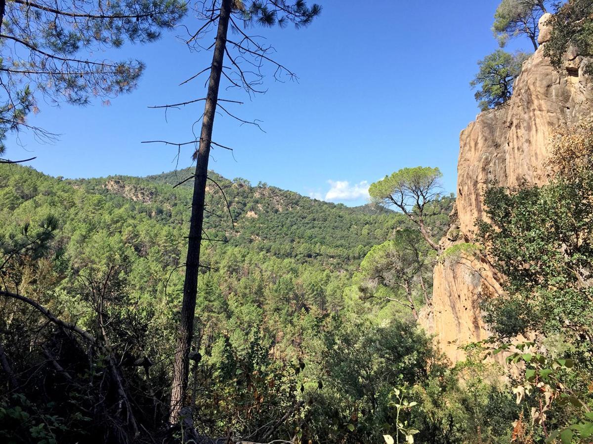 Casa Rural Can Miquel - En Pleno Bosque Y Cerca De La Playa - Increibles Rutas Btt Санта-Колома-де-Фарн Экстерьер фото