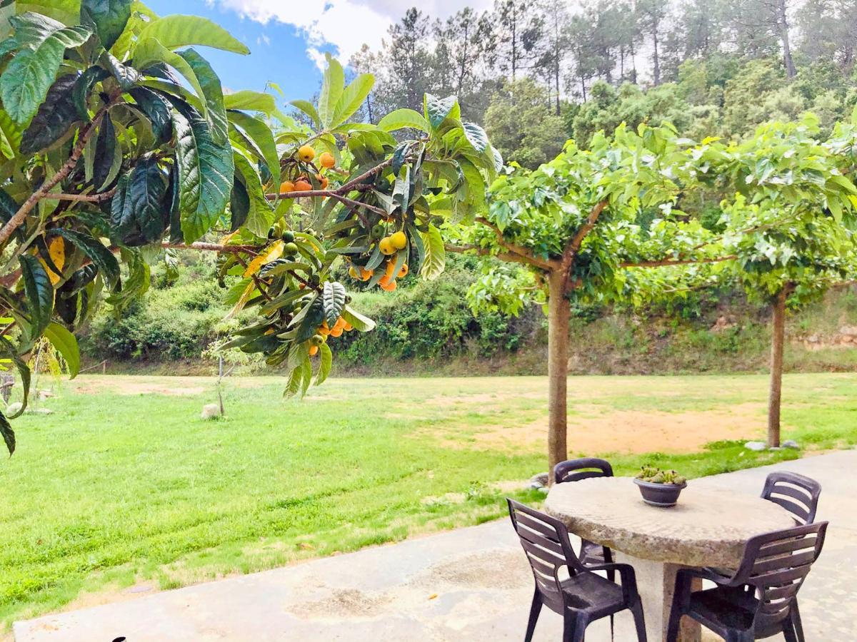 Casa Rural Can Miquel - En Pleno Bosque Y Cerca De La Playa - Increibles Rutas Btt Санта-Колома-де-Фарн Экстерьер фото