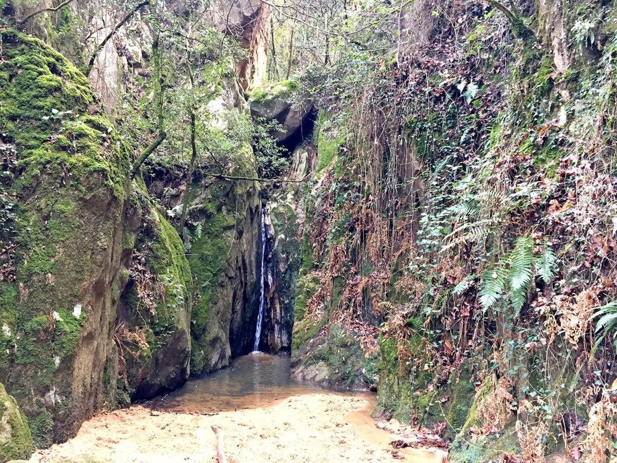 Casa Rural Can Miquel - En Pleno Bosque Y Cerca De La Playa - Increibles Rutas Btt Санта-Колома-де-Фарн Экстерьер фото